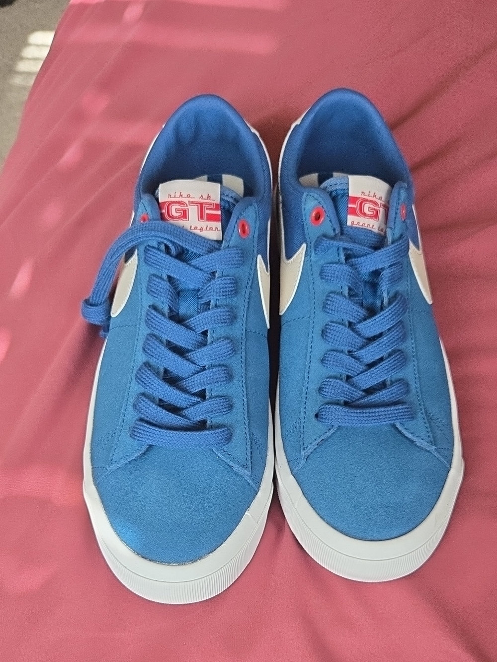Nike Blue Low-Top Sneakers with White Swoosh - Skater